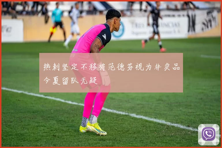 热刺坚定不移将范德芬视为非卖品今夏留队无疑